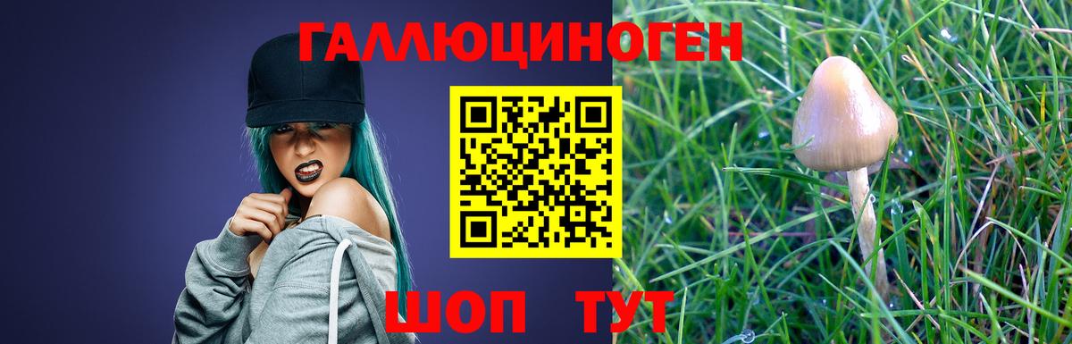 Галлюциногенные грибы Magic Shrooms Лесозаводск