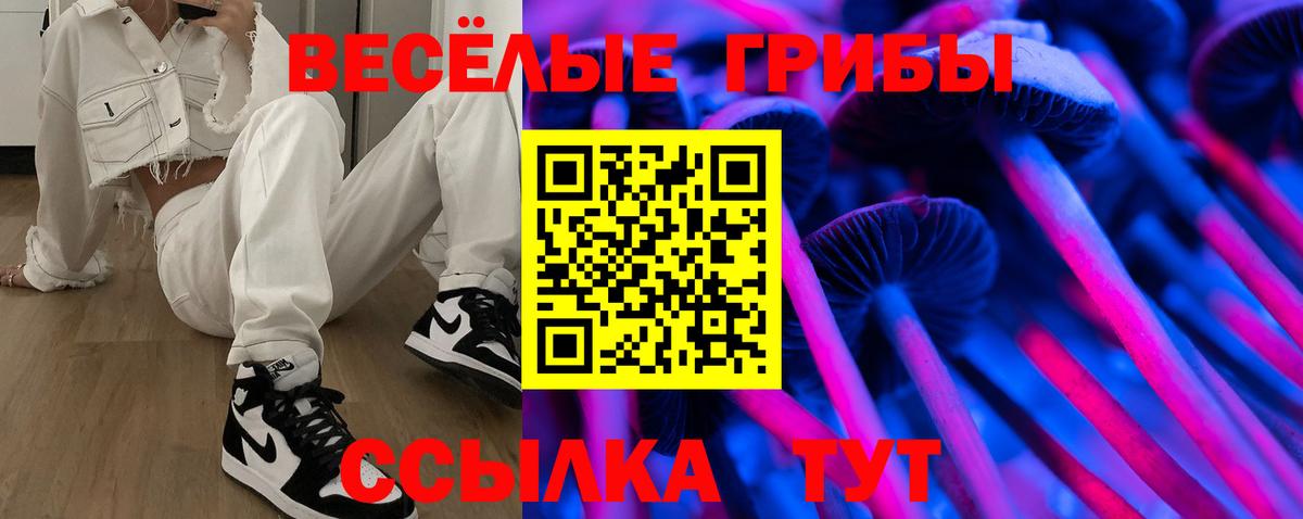 Лесозаводск  Псилоцибиновые грибы мухоморы  Вход с VPN  цены наркотик  Псилоцибиновые грибы ЛСД 